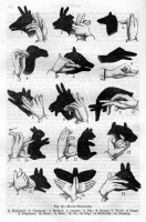 http://negativeoutlook.gr/files/gimgs/th-55_5_tumblr_m0shx4pap51qco5oxo1_500-jpg.jpg