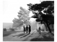 http://negativeoutlook.gr/files/gimgs/th-55_consider___-Kostas-Balafas-17.jpg