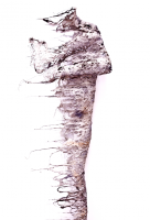 https://negativeoutlook.gr:443/files/gimgs/th-55_18_despina-charitonidi.png