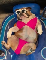 https://negativeoutlook.gr:443/files/gimgs/th-55_Screen-Shot-2019-09-01-at-01_06_47.jpg